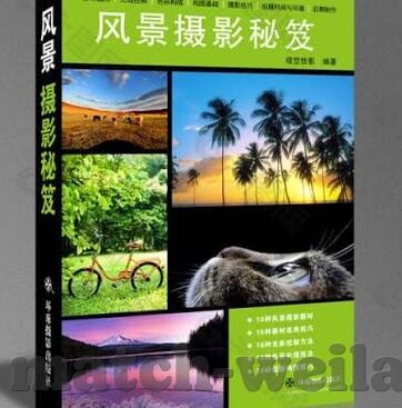 9月29足球比分-9月29日绿茵烽火，五大联赛激战正酣，比分背后的故事与启示