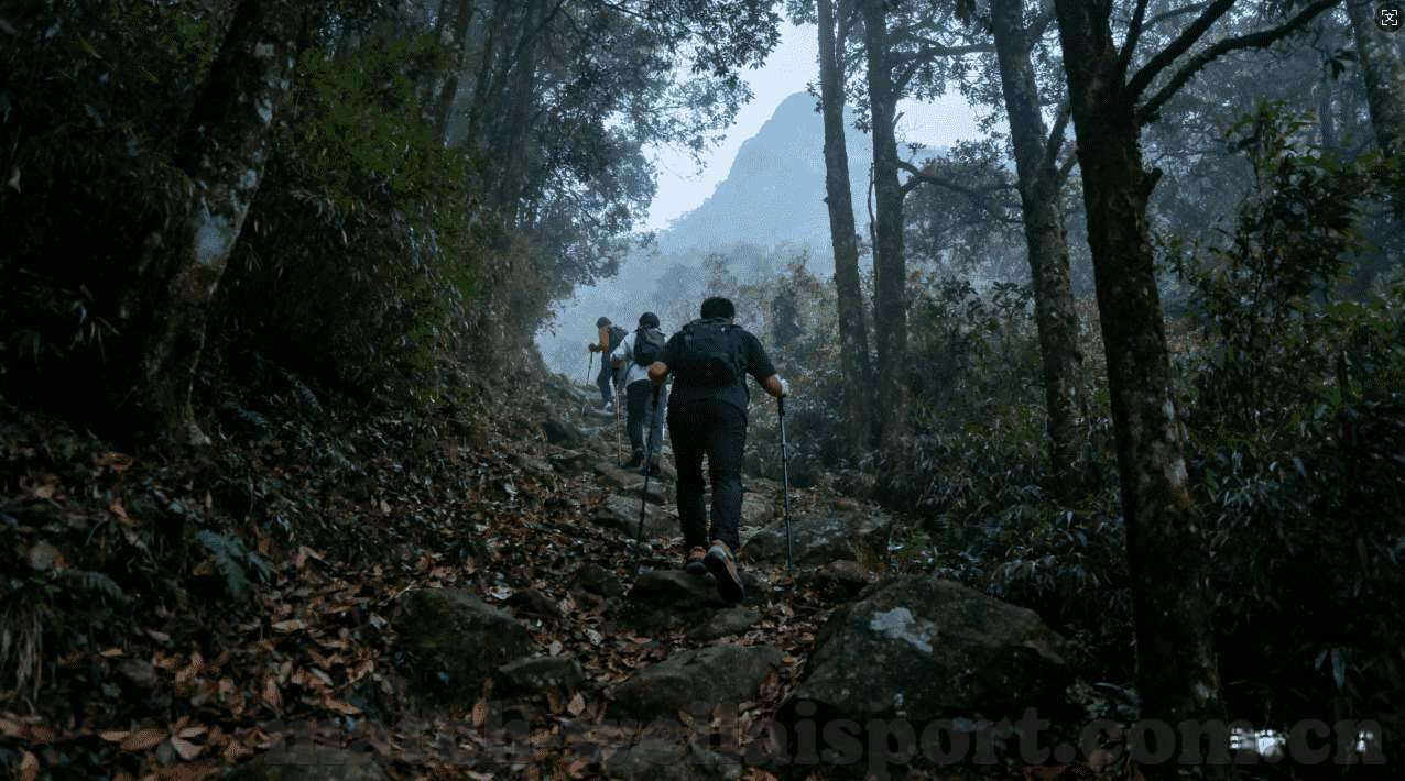 世界杯足球怎么买彩票-世界杯足球彩票购买指南，理性参与，享受足球盛宴